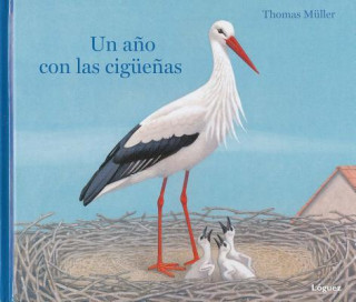 Kniha Un Ano Con Las Ciguenas Thomas Müller