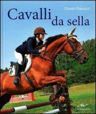 Kniha Cavalli da sella Gianni Ravazzi