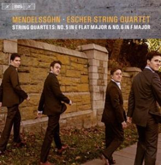 Аудио Streichquartette vol.3 Escher String Quartet