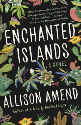 Kniha Enchanted Islands Allison Amend