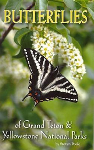 Knjiga Butterflies of Grand Teton & Yellowstone National Parks Steven Poole