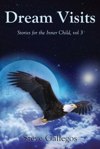 Knjiga Dream Visits Steve Gallegos