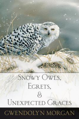 Carte Snowy Owls, Egrets, and Unexpected Graces Gwendolyn Morgan