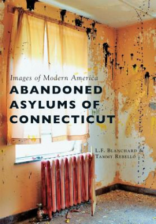 Libro Abandoned Asylums of Connecticut L. F. Blanchard