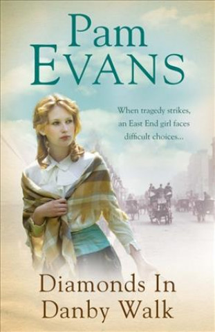 Könyv Diamonds in Danby Walk Pam Evans