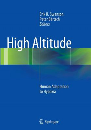 Könyv High Altitude Erik R. Swenson