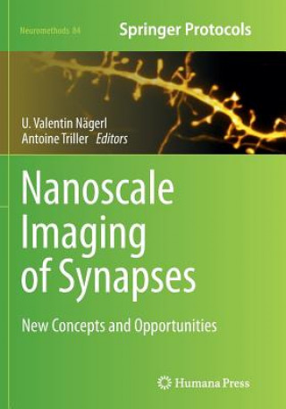 Carte Nanoscale Imaging of Synapses Valentin Nagerl