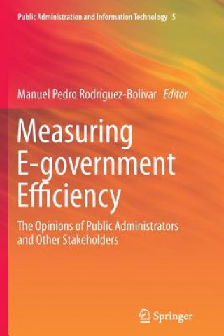 Book Measuring E-government Efficiency Manuel Pedro Rodriguez-Bolivar