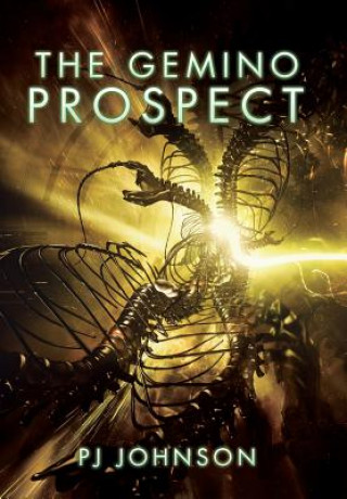 Buch Gemino Prospect Pj Johnson