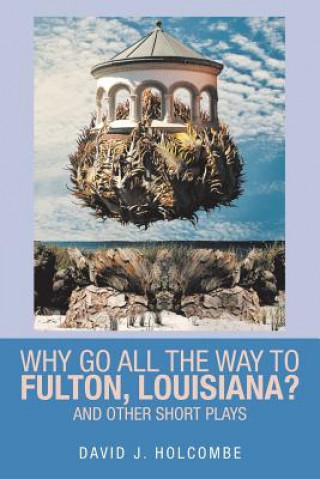 Kniha Why Go All the Way to Fulton, Louisiana? David Holcombe