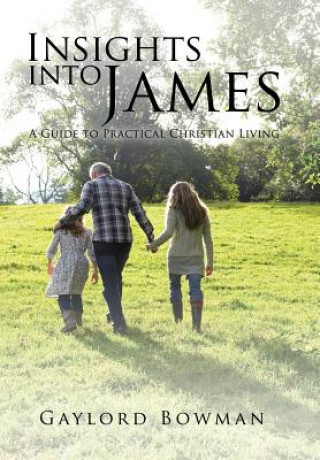 Книга Insights into James Gaylord Bowman