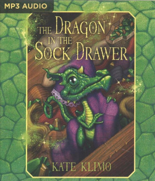 Digital The Dragon in the Sock Drawer Kate Klimo