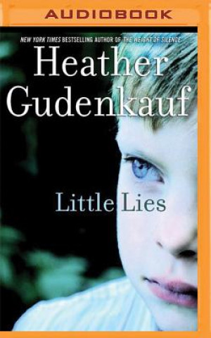 Digital Little Lies Heather Gudenkauf