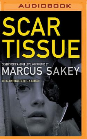 Digital Scar Tissue: Seven Stories of Love and Wounds Marcus Sakey