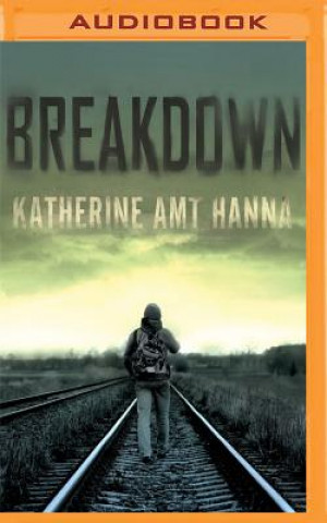 Digital Breakdown: A Love Story Katherine Amt Hanna