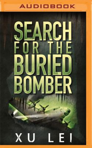 Digital Search for the Buried Bomber Xu Lei