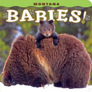 Book Montana Babies! Steph Lehmann