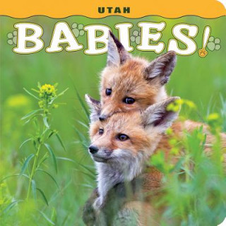 Kniha Utah Babies! Steph Lehmann