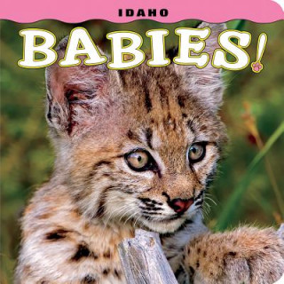 Carte Idaho Babies! Steph Lehmann