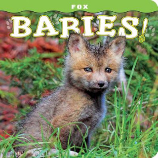 Carte Fox Babies! Steph Lehmann