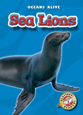 Carte Sea Lions Colleen Sexton
