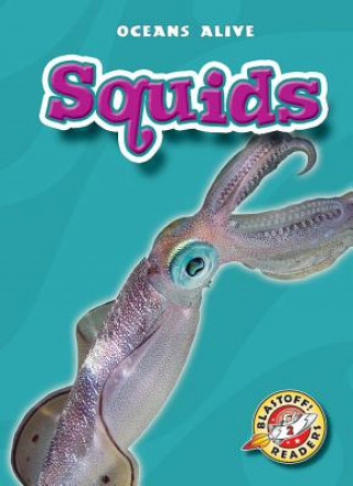 Книга Squids Colleen Sexton