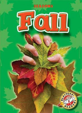 Livro Fall Ann Herriges