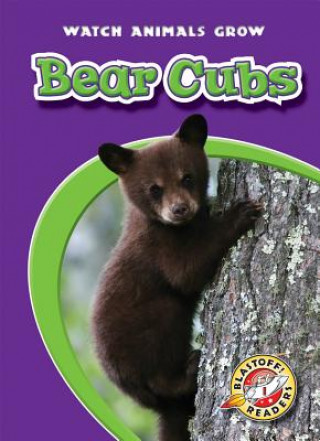 Kniha Bear Cubs Anne Wendorff