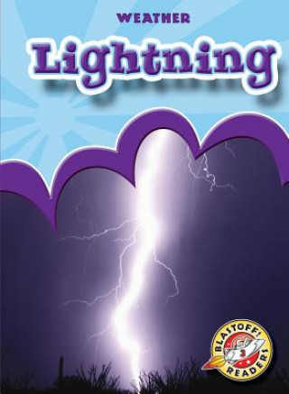 Книга Lightning Ann Herriges