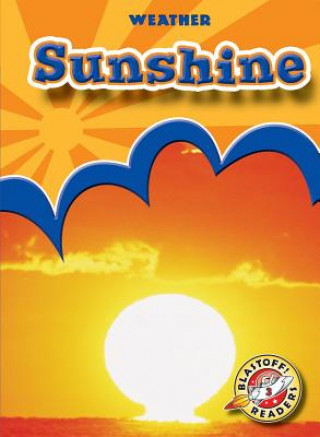 Book Sunshine Ann Herriges