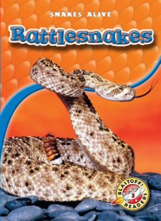 Livre Rattlesnakes Colleen Sexton