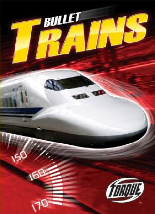 Buch Bullet Trains Denny Von Finn