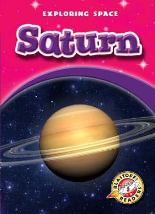Libro Saturn Derek Zobel