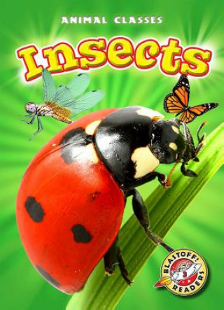 Carte Insects Kari Schuetz