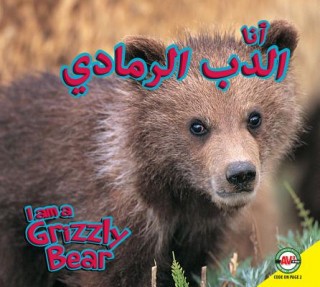 Carte Grizzly Bear: Arabic-English Bilingual Edition Karen Durrie