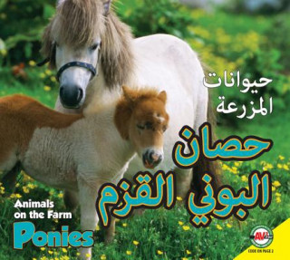 Carte Ponies: Arabic-English Bilingual Edition Aaron Carr