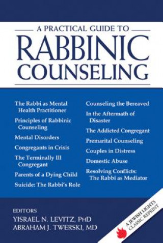 Kniha Practical Guide to Rabbinic Counseling Yisrael N. Levitz