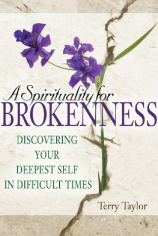 Książka Spirituality for Brokenness Terry Taylor