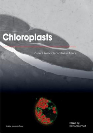 Knjiga Chloroplasts Helmut Kirchhoff