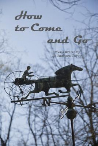 Carte How to Come and Go: Poems Written by Jo Barbara Taylor Jo Barbara Taylor