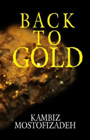 Kniha Back to Gold Kambiz Mostofizadeh