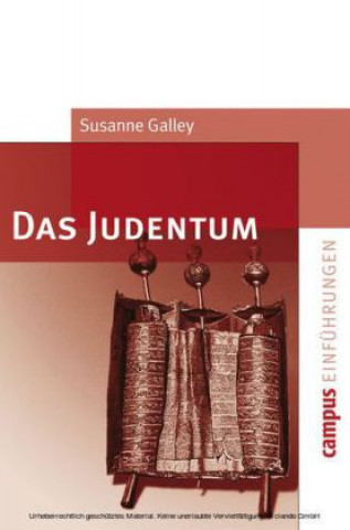 Knjiga Das Judentum Susanne Galley