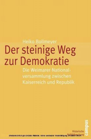 Könyv Der steinige Weg zur Demokratie Heiko Bollmeyer