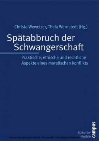 Kniha Spätabbruch der Schwangerschaft Christa Wewetzer