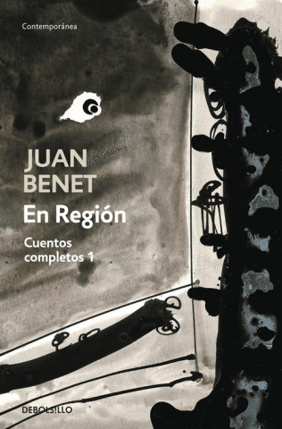 Kniha En región Juan Benet