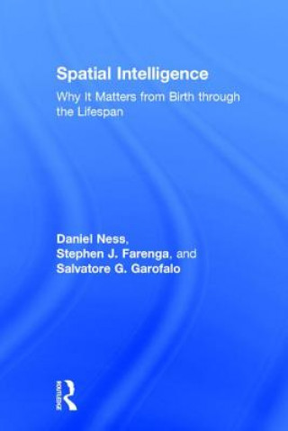 Boek Spatial Intelligence NESS