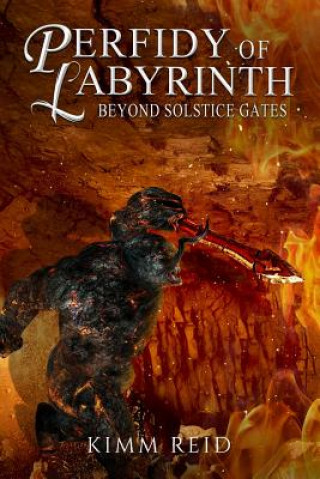 Kniha Perfidy of Labyrinth Kimm Reid