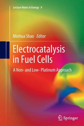 Buch Electrocatalysis in Fuel Cells Minhua Shao