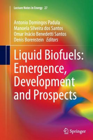 Könyv Liquid Biofuels: Emergence, Development and Prospects Sherrill Edwards