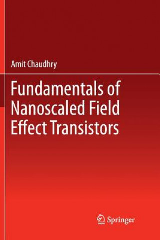 Kniha Fundamentals of Nanoscaled Field Effect Transistors Amit Chaudhry
